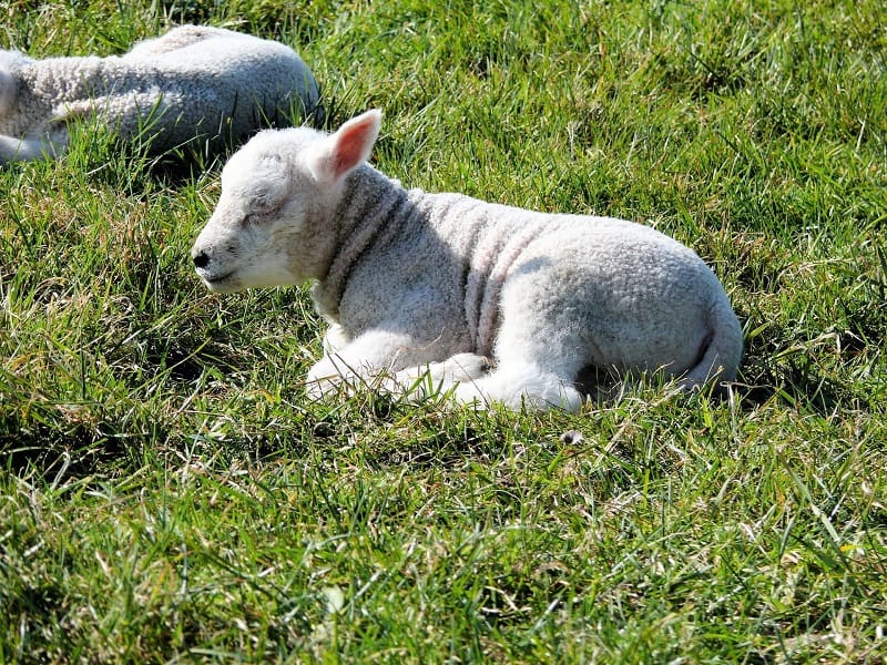 De lente ontdekken!